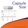 Now Foods Supplements | Plant Enzymes With Lactase| Protease| Papain And Bromelain| 240 Veg Capsules