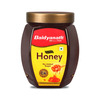 Baidyanath Ayurved Pure Honey 1Kg | C4 Approved Unadulterated Honey