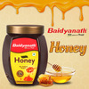 Baidyanath Ayurved Pure Honey 1Kg | C4 Approved Unadulterated Honey