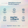 Wellbeing Nutrition Pure Korean Marine Collagen Supplements For Women & Men | 200G | Unflavored