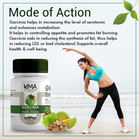 Uma Ayurveda Garcinia Capsule Ayurvedic Capsules 60 Caps