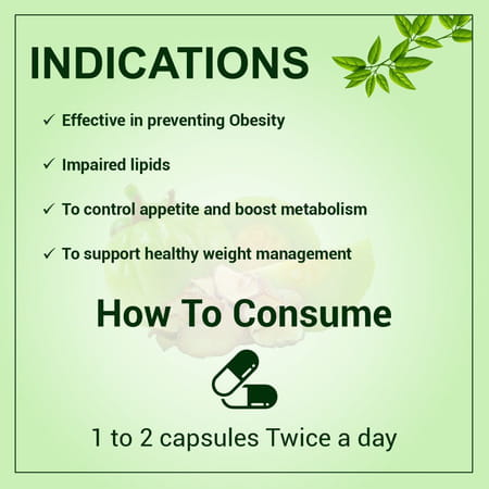 Uma Ayurveda Garcinia Capsule Ayurvedic Capsules 60 Caps