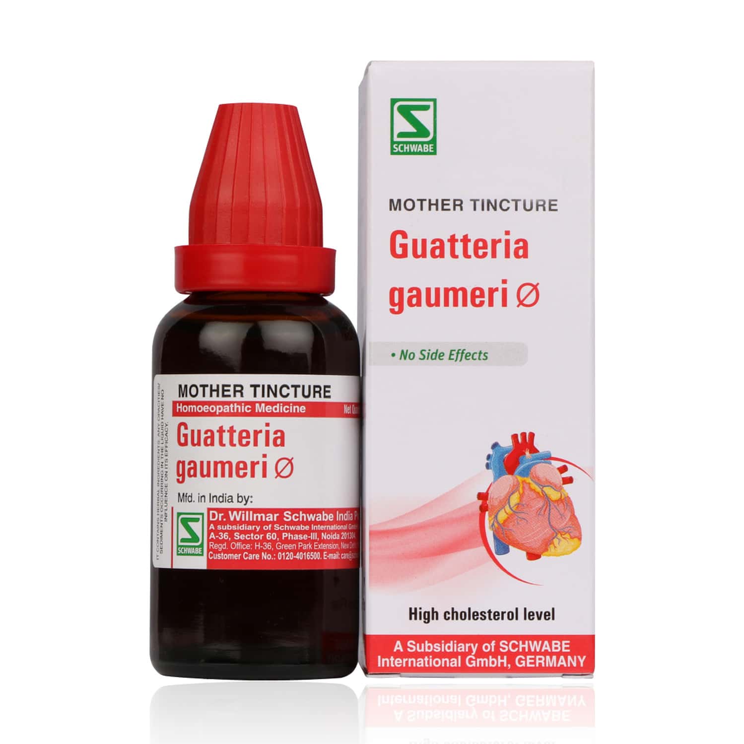 Dr. Willmar Schwabe India Guatteria Gaumeri (mt)30ml