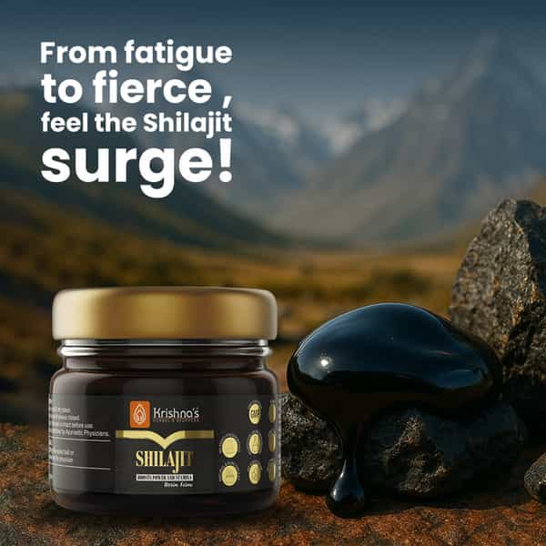 Krishna's Shilajit 40 G