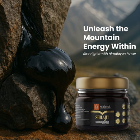 Krishna's Shilajit 40 G