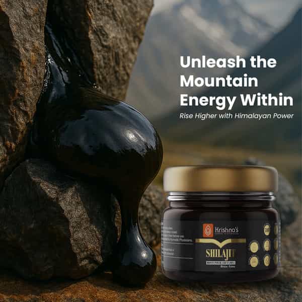 Krishna's Shilajit 40 G