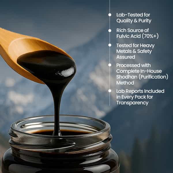 Krishna's Shilajit 40 G