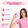 Gynocup Premium Menstrual Cup For Women Small Size With Wash-100Ml (Combo)