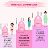 Gynocup Premium Menstrual Cup For Women Small Size With Wash-100Ml (Combo)