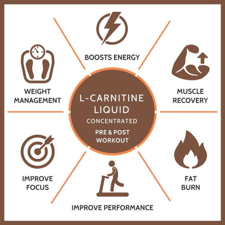 Carbamide Forte L-Carnitine Concentrated Liquid | Pre & Post Workout Supplement - 500ml