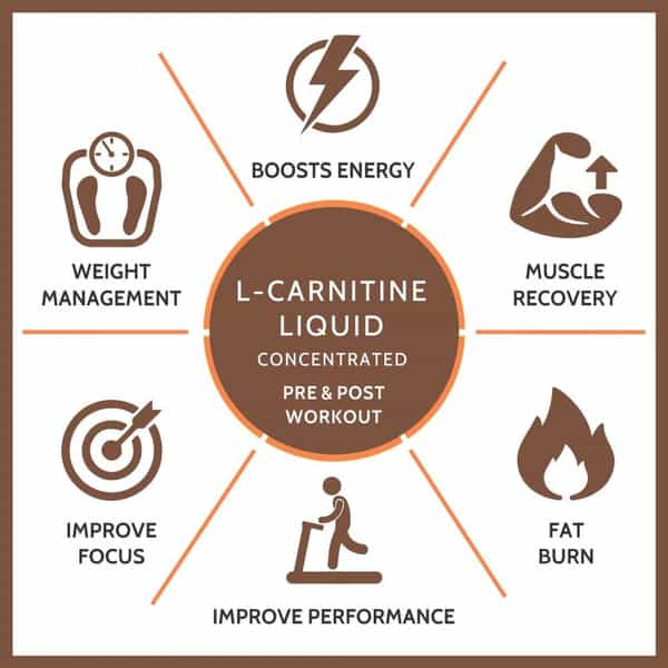 Carbamide Forte L-Carnitine Concentrated Liquid | Pre & Post Workout Supplement - 500Ml
