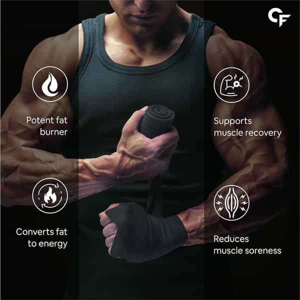 Carbamide Forte L-Carnitine Concentrated Liquid | Pre & Post Workout Supplement - 500Ml