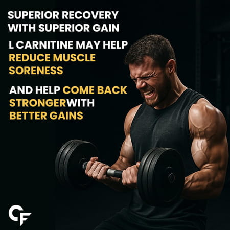 Carbamide Forte L-Carnitine Concentrated Liquid | Pre & Post Workout Supplement - 500ml