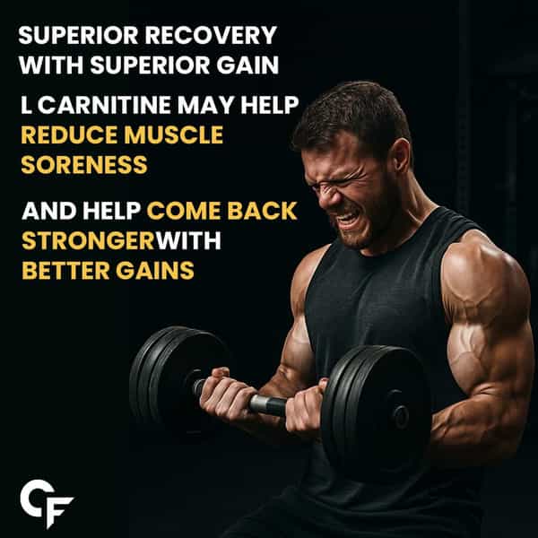 Carbamide Forte L-Carnitine Concentrated Liquid | Pre & Post Workout Supplement - 500Ml