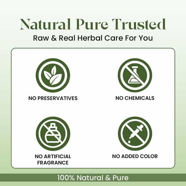 Raw Tatva Tulsi Leaf Powder For Clear Skin & Oil Control | All Skin Types | 100G