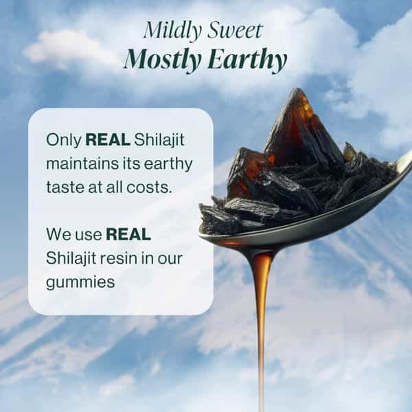 Amocare 400Mg Shilajit Gummies | Energy & Immune Boost | 75%+ Fulvic Acid | 0 Added Sugar - 30N