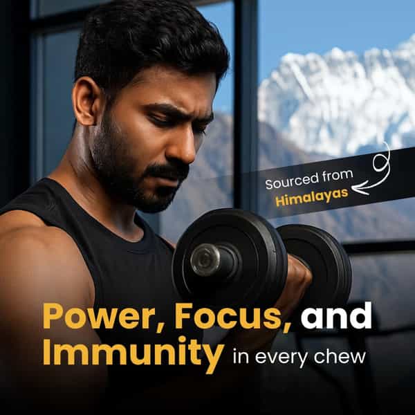 Amocare 400Mg Shilajit Gummies | Energy & Immune Boost | 75%+ Fulvic Acid | 0 Added Sugar - 30N