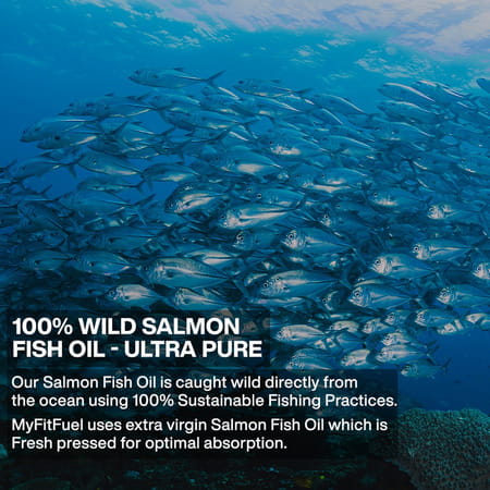Myfitfuel Salmon Fish Oil | 1000mg (180 Epa 120 Dha) | 50 Softgels