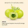 Dr. Vaidya's Amla Juice -950Ml Pack Of 2