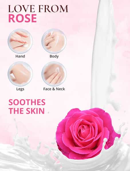 Spantra Rose Body Lotion 300Ml
