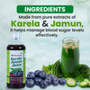 Baidyanath Karela Jamun Juice -1000Ml | Natural Remedy For Blood Sugar Management