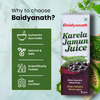 Baidyanath Karela Jamun Juice -1000Ml | Natural Remedy For Blood Sugar Management