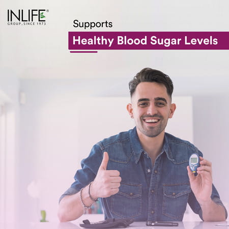 Inlife Alpha Lipoic Acid 300mg | Universal Antioxidant | Ala Supplement - 120 Vegetarian Capsules
