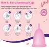 Mom & World Reusable Menstrual Cup For Women Odor And Rash Free No Leakage (Small) X Pack Of 2