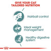Royal Canin Hairball Care For Cats | Pack Of 12 Sachet | Wet Food | Reduces Hairball Formation