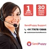 Sandpuppy Back Strap Electric Heating Belt | Ideal For Back Pain Relief | Adjustable Heating