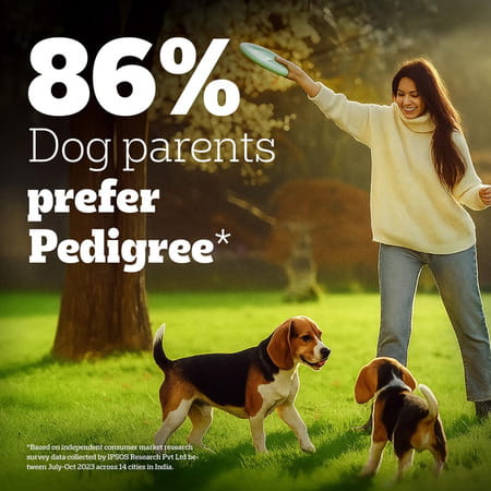 Pedigree Pro Adult Small Breed | 3 Kg Dry Dog Food | Vet Trusted Brand (9 Months Onwards)