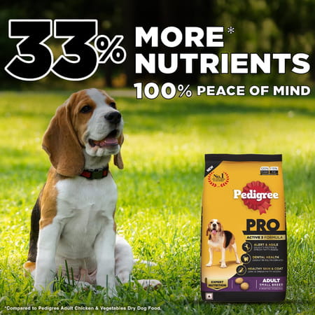 Pedigree Pro Adult Small Breed | 3 Kg Dry Dog Food | Vet Trusted Brand (9 Months Onwards)