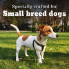 Pedigree Pro Adult Small Breed | 3 Kg Dry Dog Food | Vet Trusted Brand (9 Months Onwards)