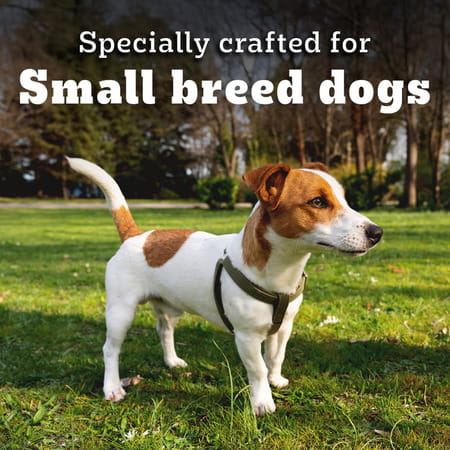 Pedigree Pro Adult Small Breed | 3 Kg Dry Dog Food | Vet Trusted Brand (9 Months Onwards)