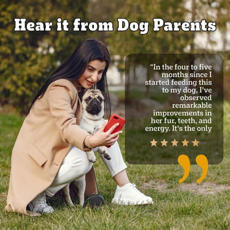 Pedigree Pro Adult Small Breed | 3 Kg Dry Dog Food | Vet Trusted Brand (9 Months Onwards)