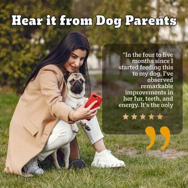 Pedigree Pro Adult Small Breed | 3 Kg Dry Dog Food | Vet Trusted Brand (9 Months Onwards)