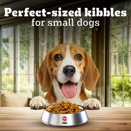 Pedigree Pro Adult Small Breed | 3 Kg Dry Dog Food | Vet Trusted Brand (9 Months Onwards)
