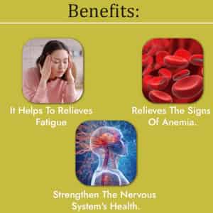 Cipzer Khamira Gauzaban Ambari 125g | For Palpitations| Eye Health & Memory Support