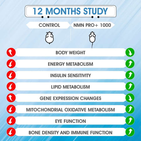 Fitness Veda Truely Indian 99% Ultra Purity Nmn Pro+ 300Mg Maximum Antioxidant