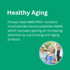 Fitness Veda Truely Indian 99% Ultra Purity Nmn Pro+ 300Mg Maximum Antioxidant