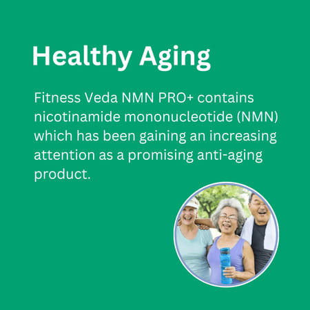Fitness Veda Truely Indian 99% Ultra Purity Nmn Pro+ 300Mg Maximum Antioxidant