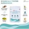 Dr. Morepen Trio Pack-Slim Shake 500G Apple Cider Vinegar 500Ml & Marine Collagen Skin Protein 240G