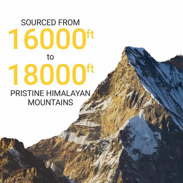 Yourhappylife Triple Strength Shilajit Gold Resin - 20G