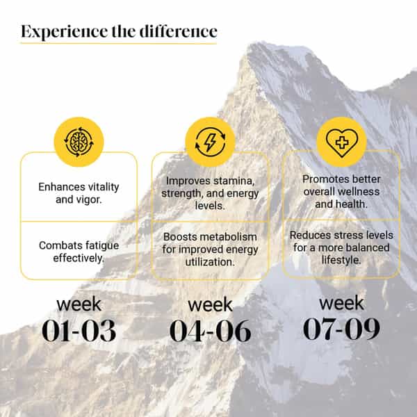 Yourhappylife Triple Strength Shilajit Gold Resin - 20G