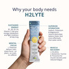 Briyo H2lyte Electrolyte Drink | Low Sugar Hydration With Vitamins & Amino Acids Litro Lemon 10 Nos