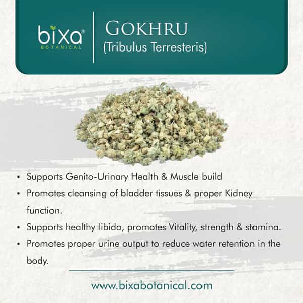 Bixa Botanical Gokshura Powder-Supports Muscle Build | Promotes Vitality | Strength & Stamina(200G)
