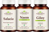Vedikroots Salacia + Neem + Giloy 60 Capsules For Sugar Control