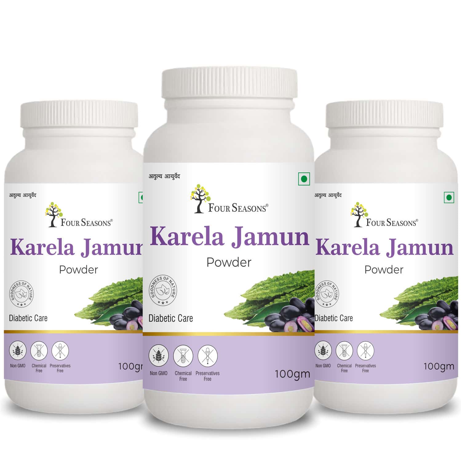 Four Seasons Karela Jamun Powder 100g | Diabetic Care | Manage Blood Sugar Level (Pack Of 3)