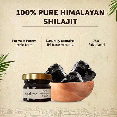 Neuherbs Pure Himalayan Shilajit 15g