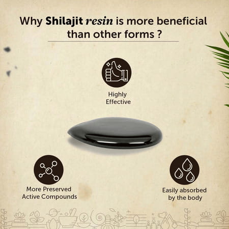Neuherbs Pure Himalayan Shilajit 15g